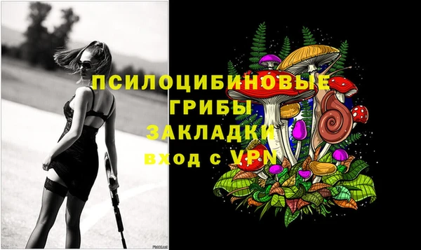 винт Алзамай